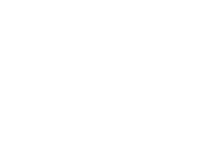 Partners - SYNERGAS Logo