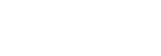 Partners - TSM Logo